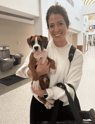 Vance, a Boxer puppy from Pawrade