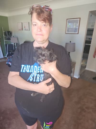 Paul, a Morkie / Yorktese puppy from Pawrade