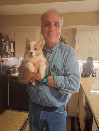 Lily, a Corgi, Pembroke Welsh puppy from Pawrade