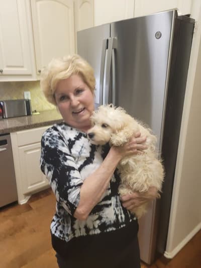 Pearl, a Cockapoo puppy from Pawrade