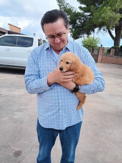Melody, a Golden Retriever puppy from Pawrade