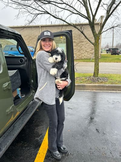 Kinsley, a Bernedoodle, Mini puppy from Pawrade