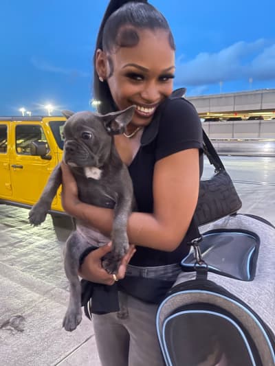 Lanai, a French Bulldog puppy from Pawrade