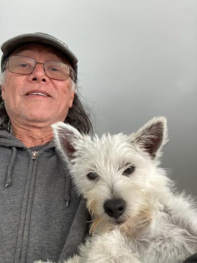 meredith, a West Highland White Terrier - Westie puppy from Pawrade
