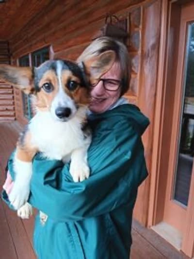 Apollo, a Corgi, Pembroke Welsh puppy from Pawrade