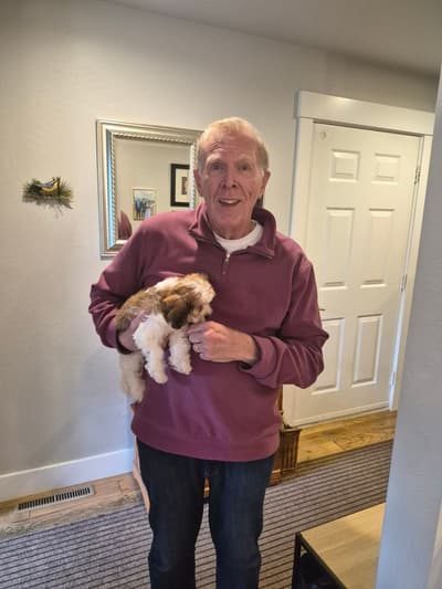 Starla, a Cavachon puppy from Pawrade