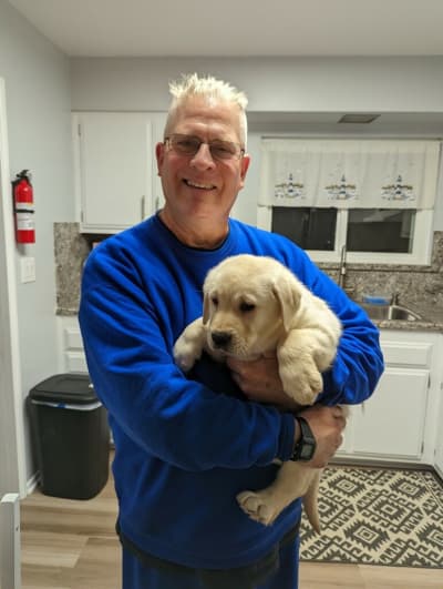 Philip, a Labrador Retriever puppy from Pawrade
