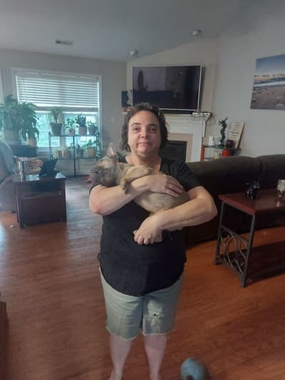 Moose, a French Bulldog puppy from Pawrade
