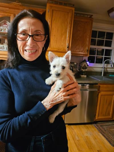 Hayes, a West Highland White Terrier - Westie puppy from Pawrade