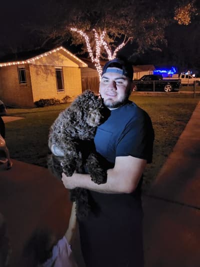 Nestly, a Poodle, Standard puppy from Pawrade