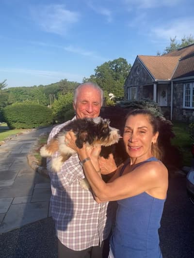 Ruby, a Bernedoodle, Mini puppy from Pawrade