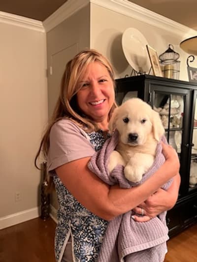 Myra, a English Golden Retriever puppy from Pawrade