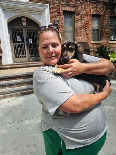 Esteban, a Dachshund, Mini puppy from Pawrade