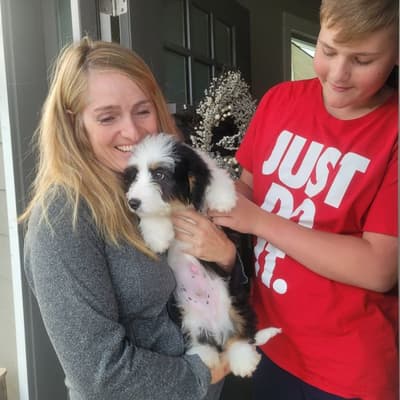 Jaspar, a Bernedoodle, Mini puppy from Pawrade