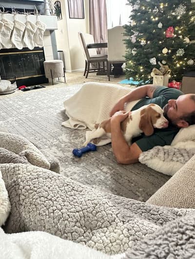 Quinto, a Beagle puppy from Pawrade