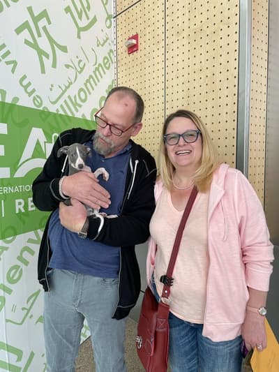 Lambert, a Italian Greyhound puppy from Pawrade
