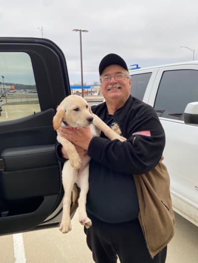 Liberty, a Labrador Retriever puppy from Pawrade