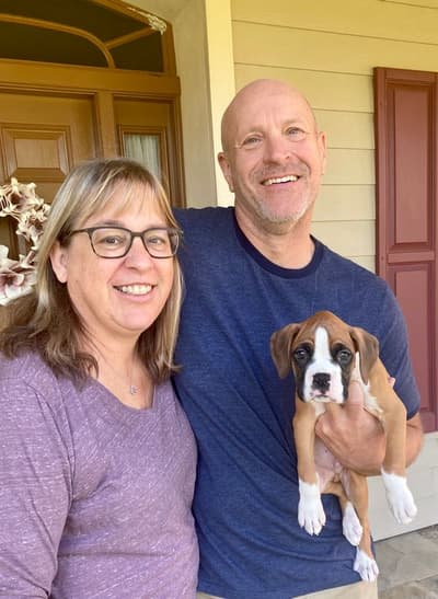 Percy, a Boxer puppy from Pawrade