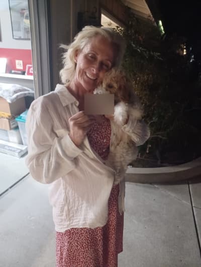 Kyra, a Poodle, Standard puppy from Pawrade