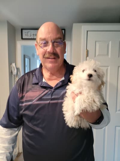 Kobe, a Havapoo puppy from Pawrade