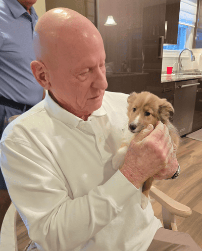 Tessa, a Shetland Sheepdog - Sheltie puppy from Pawrade