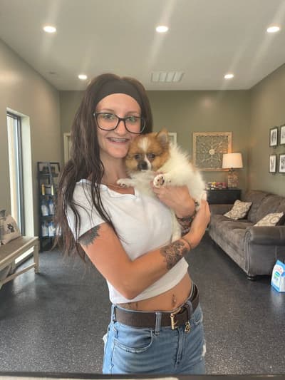 Roo, a Pomeranian puppy from Pawrade