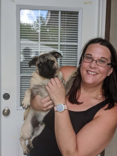 Rowan, a Pug puppy from Pawrade