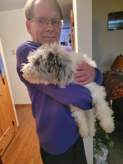 Amelia, a Sheepadoodle puppy from Pawrade