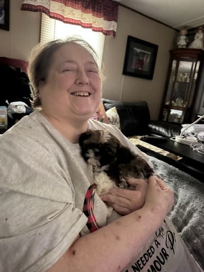 Carina, a Shih Tzu puppy from Pawrade