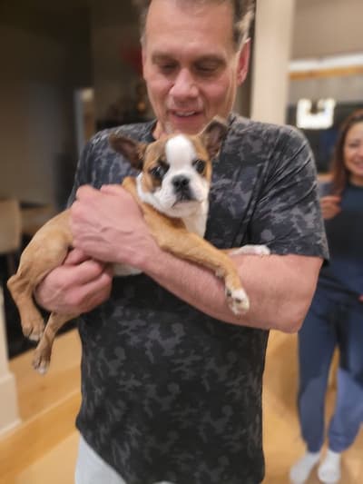 Anthony, a Boston Terrier puppy from Pawrade