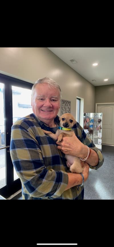 Titan, a Chihuahua puppy from Pawrade