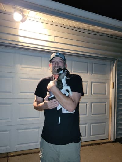 Derek, a Italian Greyhound puppy from Pawrade