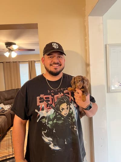 Camden, a Dachshund puppy from Pawrade