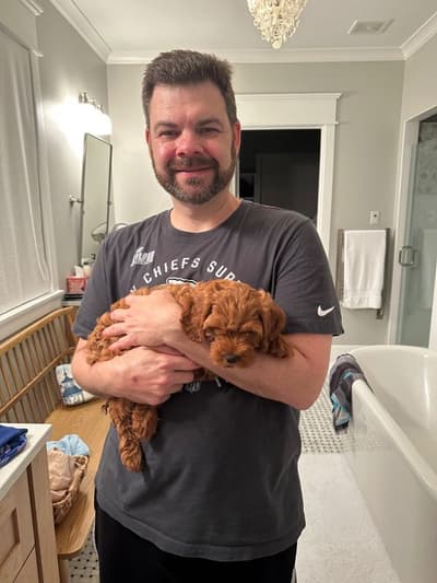 Lydia, a Cavapoo puppy from Pawrade