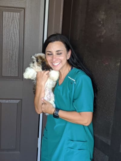 Maeve, a Shih Tzu puppy from Pawrade