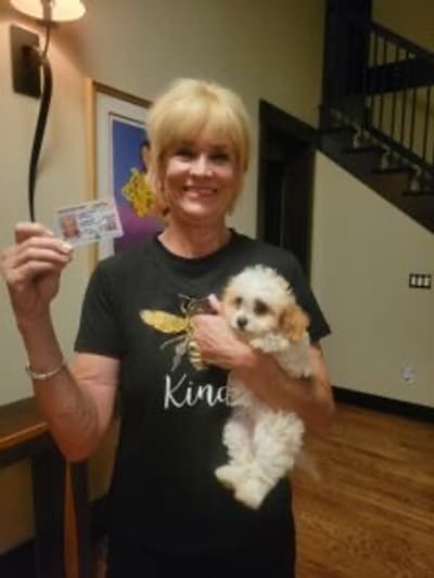 Florence, a Cavapoo puppy from Pawrade