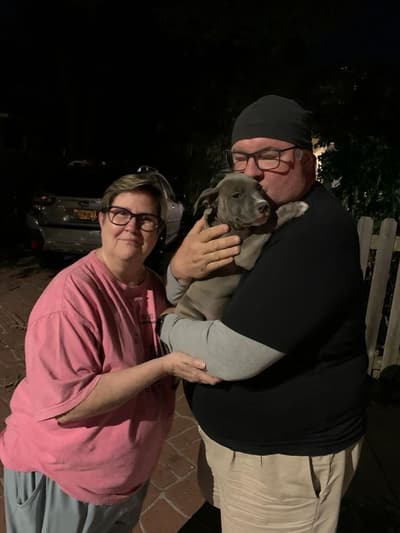 Freya, a American Bully puppy from Pawrade