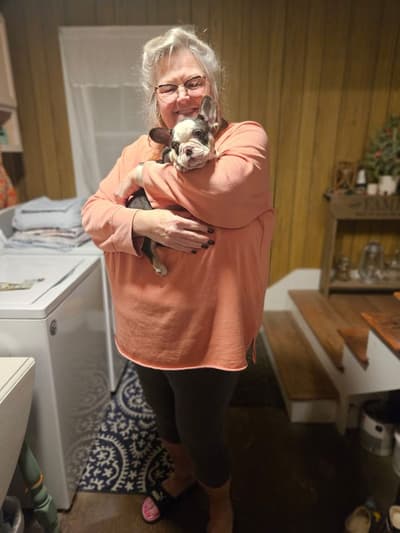 Humphrey, a French Bulldog puppy from Pawrade