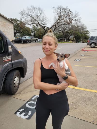 Frost, a Rat Terrier puppy from Pawrade