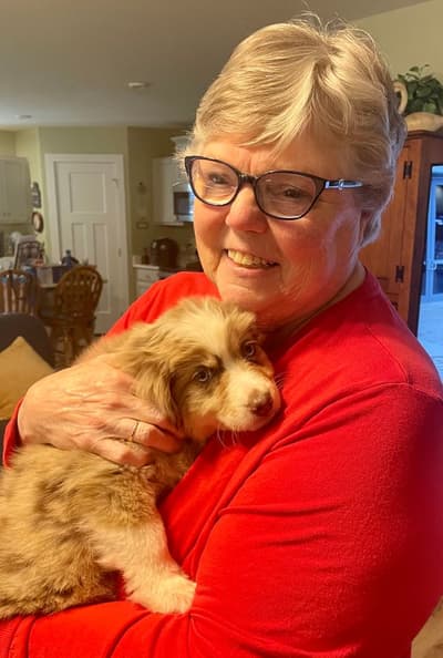 Cooper, a Miniature Australian Shepherd puppy from Pawrade