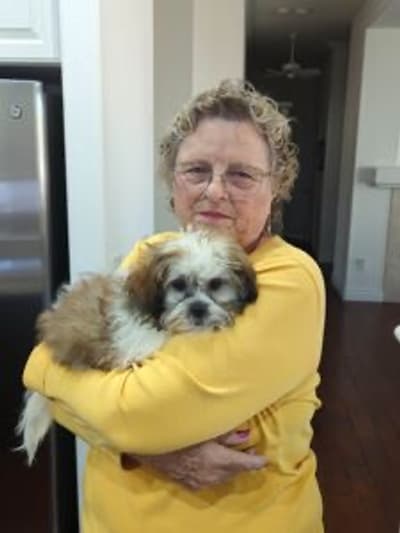 Addison, a Shih Tzu puppy from Pawrade