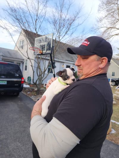 Grant, a Boston Terrier puppy from Pawrade