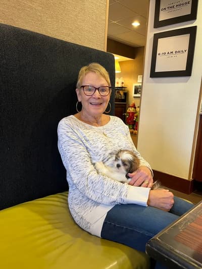 Brittney, a Shih Tzu puppy from Pawrade