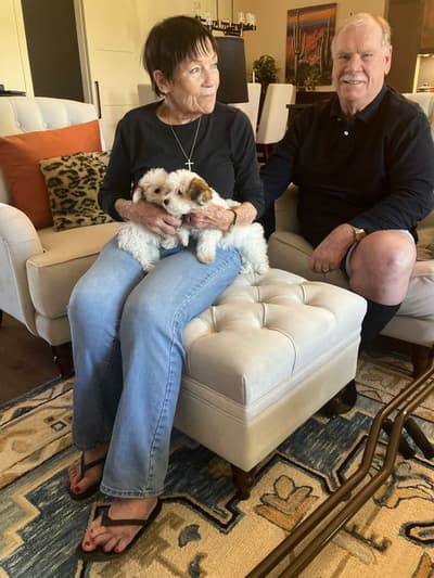 Delilah, a Yorkiepoo - Yorkie Poo puppy from Pawrade