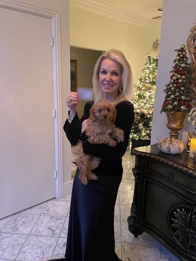 Sarah, a Cavapoo puppy from Pawrade