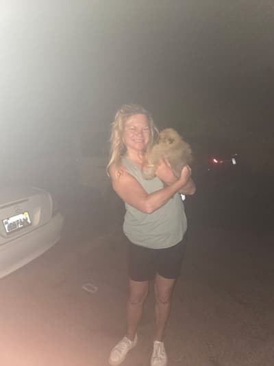Bailey, a Pomeranian puppy from Pawrade