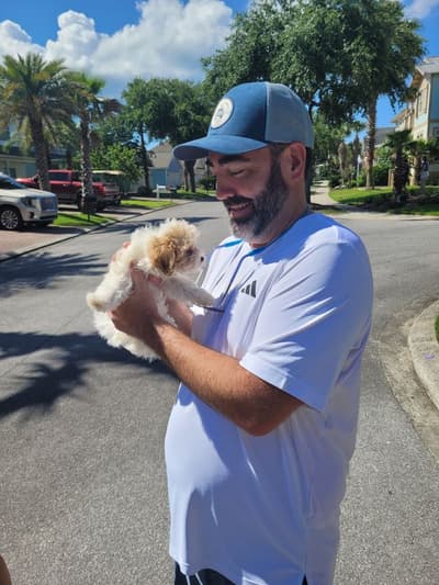 Tamia, a Malti Poo - Maltipoo puppy from Pawrade