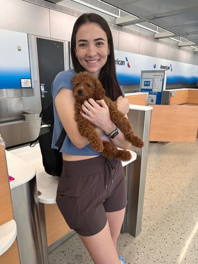 Plum, a Goldendoodle, Mini puppy from Pawrade