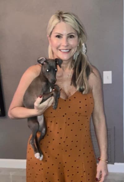 Teagan, a Italian Greyhound puppy from Pawrade