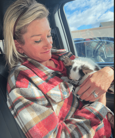 Arnold, a Chihuahua puppy from Pawrade
